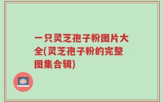 一只灵芝孢子粉图片大全(灵芝孢子粉的完整图集合辑)