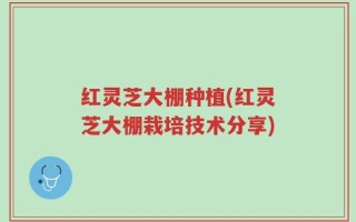 红灵芝大棚种植(红灵芝大棚栽培技术分享)