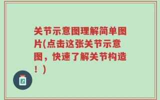 关节示意图理解简单图片(点击这张关节示意图，快速了解关节构造！)