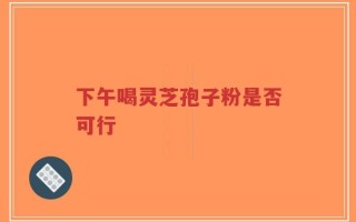 下午喝灵芝孢子粉是否可行