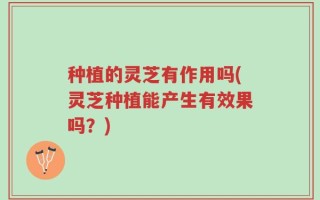 种植的灵芝有作用吗(灵芝种植能产生有效果吗？)
