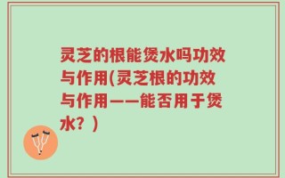 灵芝的根能煲水吗功效与作用(灵芝根的功效与作用——能否用于煲水？)