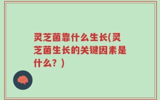 灵芝菌靠什么生长(灵芝菌生长的关键因素是什么？)