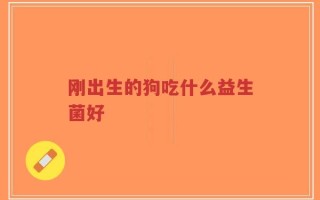 刚出生的狗吃什么益生菌好