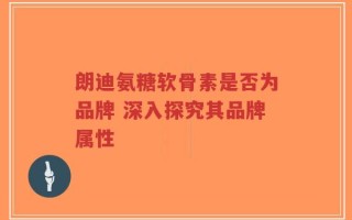 朗迪氨糖软骨素是否为品牌 深入探究其品牌属性