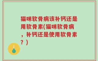 猫咪软骨病该补钙还是用软骨素(猫咪软骨病，补钙还是使用软骨素？)