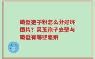 破壁孢子粉怎么分好坏图片？灵芝孢子去壁与破壁有哪些差别