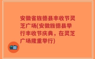 安徽省旌德县丰收节灵芝广场(安徽旌德县举行丰收节庆典，在灵芝广场隆重举行)