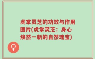 虎掌灵芝的功效与作用图片(虎掌灵芝：身心焕然一新的自然瑰宝)