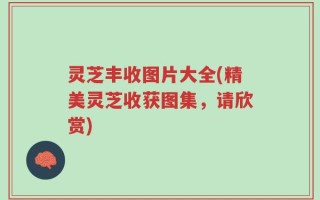 灵芝丰收图片大全(精美灵芝收获图集，请欣赏)