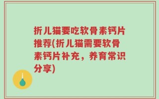 折儿猫要吃软骨素钙片推荐(折儿猫需要软骨素钙片补充，养育常识分享)