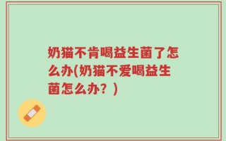 奶猫不肯喝益生菌了怎么办(奶猫不爱喝益生菌怎么办？)