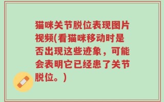 猫咪关节脱位表现图片视频(看猫咪移动时是否出现这些迹象，可能会表明它已经患了关节脱位。)