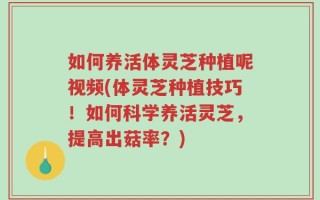 如何养活体灵芝种植呢视频(体灵芝种植技巧！如何科学养活灵芝，提高出菇率？)