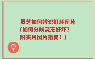 灵芝如何辨识好坏图片(如何分辨灵芝好坏？附实用图片指南！)