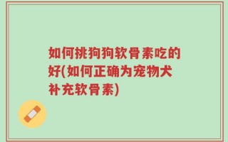 如何挑狗狗软骨素吃的好(如何正确为宠物犬补充软骨素)