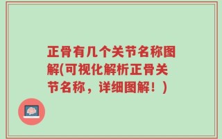 正骨有几个关节名称图解(可视化解析正骨关节名称，详细图解！)