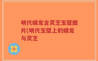 明代螭龙含灵芝玉璧图片(明代玉璧上的螭龙与灵芝