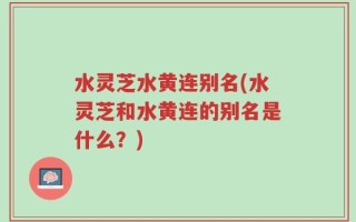 水灵芝水黄连别名(水灵芝和水黄连的别名是什么？)