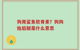 狗用鲨鱼软骨素？狗狗抬后腿是什么意思