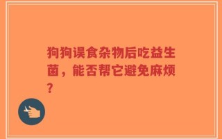 狗狗误食杂物后吃益生菌，能否帮它避免麻烦？