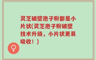 灵芝破壁孢子粉都是小片状(灵芝孢子粉破壁技术升级，小片状更易吸收！)