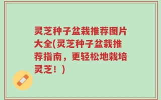 灵芝种子盆栽推荐图片大全(灵芝种子盆栽推荐指南，更轻松地栽培灵芝！)