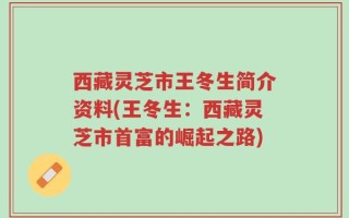 西藏灵芝市王冬生简介资料(王冬生：西藏灵芝市首富的崛起之路)