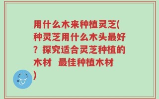 用什么木来种植灵芝(种灵芝用什么木头最好？探究适合灵芝种植的木材  最佳种植木材)
