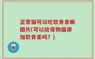 正常猫可以吃软骨素嘛图片(可以给宠物猫添加软骨素吗？)