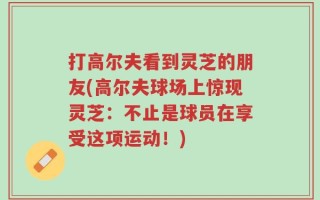 打高尔夫看到灵芝的朋友(高尔夫球场上惊现灵芝：不止是球员在享受这项运动！)