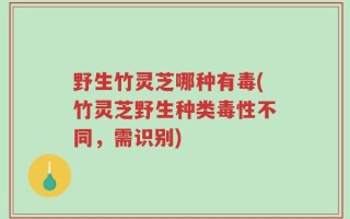 野生竹灵芝哪种有毒(竹灵芝野生种类毒性不同，需识别)