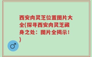 西安肉灵芝位置图片大全(探寻西安肉灵芝藏身之处：图片全揭示！)