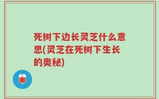 死树下边长灵芝什么意思(灵芝在死树下生长的奥秘)