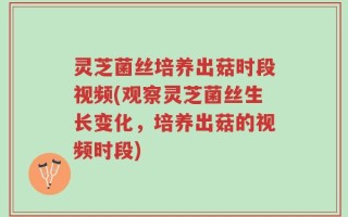 灵芝菌丝培养出菇时段视频(观察灵芝菌丝生长变化，培养出菇的视频时段)