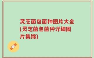 灵芝菌包菌种图片大全(灵芝菌包菌种详细图片集锦)