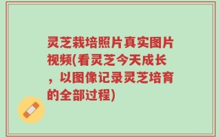 灵芝栽培照片真实图片视频(看灵芝今天成长，以图像记录灵芝培育的全部过程)