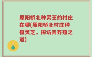 原阳桥北种灵芝的村庄在哪(原阳桥北村庄种植灵芝，探访其养殖之道)