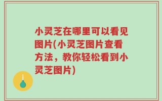 小灵芝在哪里可以看见图片(小灵芝图片查看方法，教你轻松看到小灵芝图片)