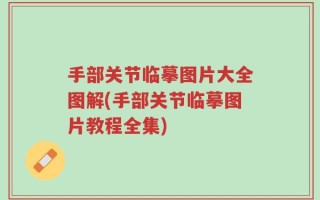 手部关节临摹图片大全图解(手部关节临摹图片教程全集)