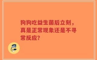 狗狗吃益生菌后立刻，真是正常现象还是不寻常反应？