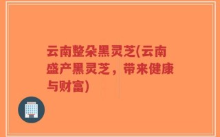 云南整朵黑灵芝(云南盛产黑灵芝，带来健康与财富)