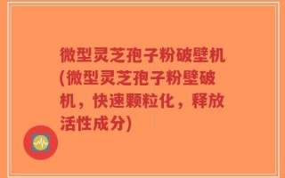 微型灵芝孢子粉破壁机(微型灵芝孢子粉壁破机，快速颗粒化，释放活性成分)