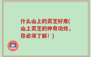 什么山上的灵芝好用(山上灵芝的神奇功效，你必须了解！)