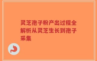 灵芝孢子粉产出过程全解析从灵芝生长到孢子采集