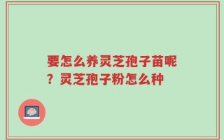 要怎么养灵芝孢子苗呢？灵芝孢子粉怎么种