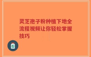 灵芝孢子粉种植下地全流程视频让你轻松掌握技巧