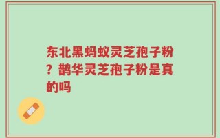 东北黑蚂蚁灵芝孢子粉？鹊华灵芝孢子粉是真的吗