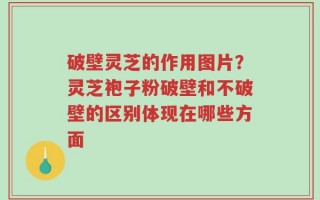 破壁灵芝的作用图片？灵芝袍子粉破壁和不破壁的区别体现在哪些方面