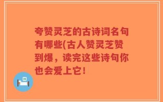 夸赞灵芝的古诗词名句有哪些(古人赞灵芝赞到爆，读完这些诗句你也会爱上它！